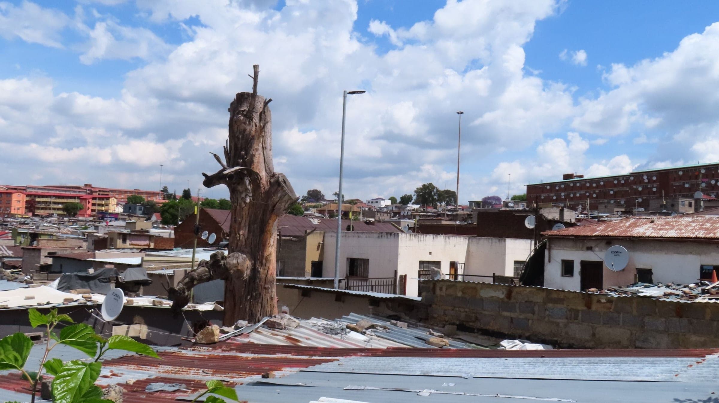 Rooftops across Alexandra under a big sky of cloud, a weathered tree trunk and street lights standing among the homes, flats rising behind.